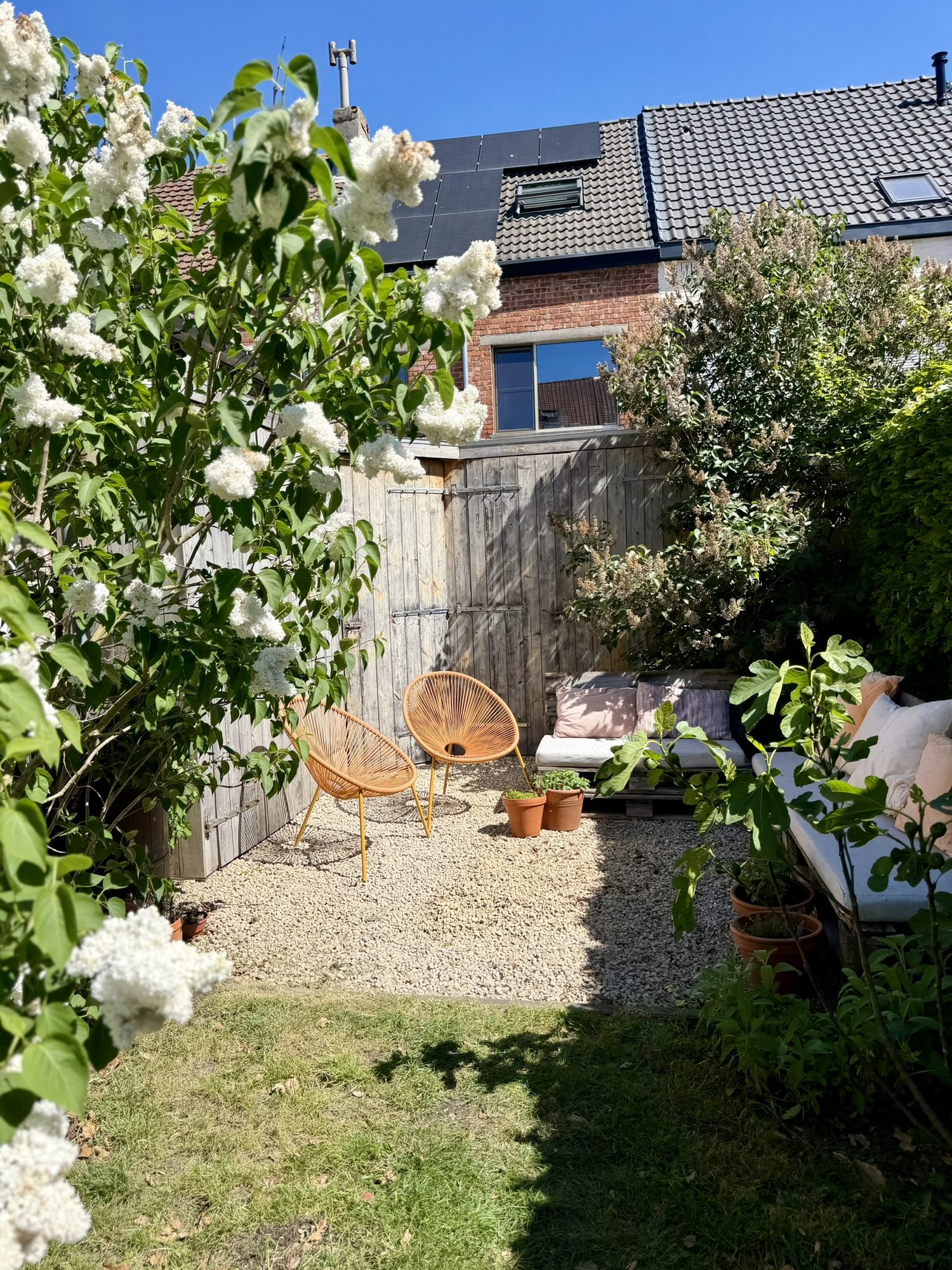 Lommerrijke achterhoek van de tuin met bloeiende witte sering, Acapulco-stoelen en palletbank in de zon